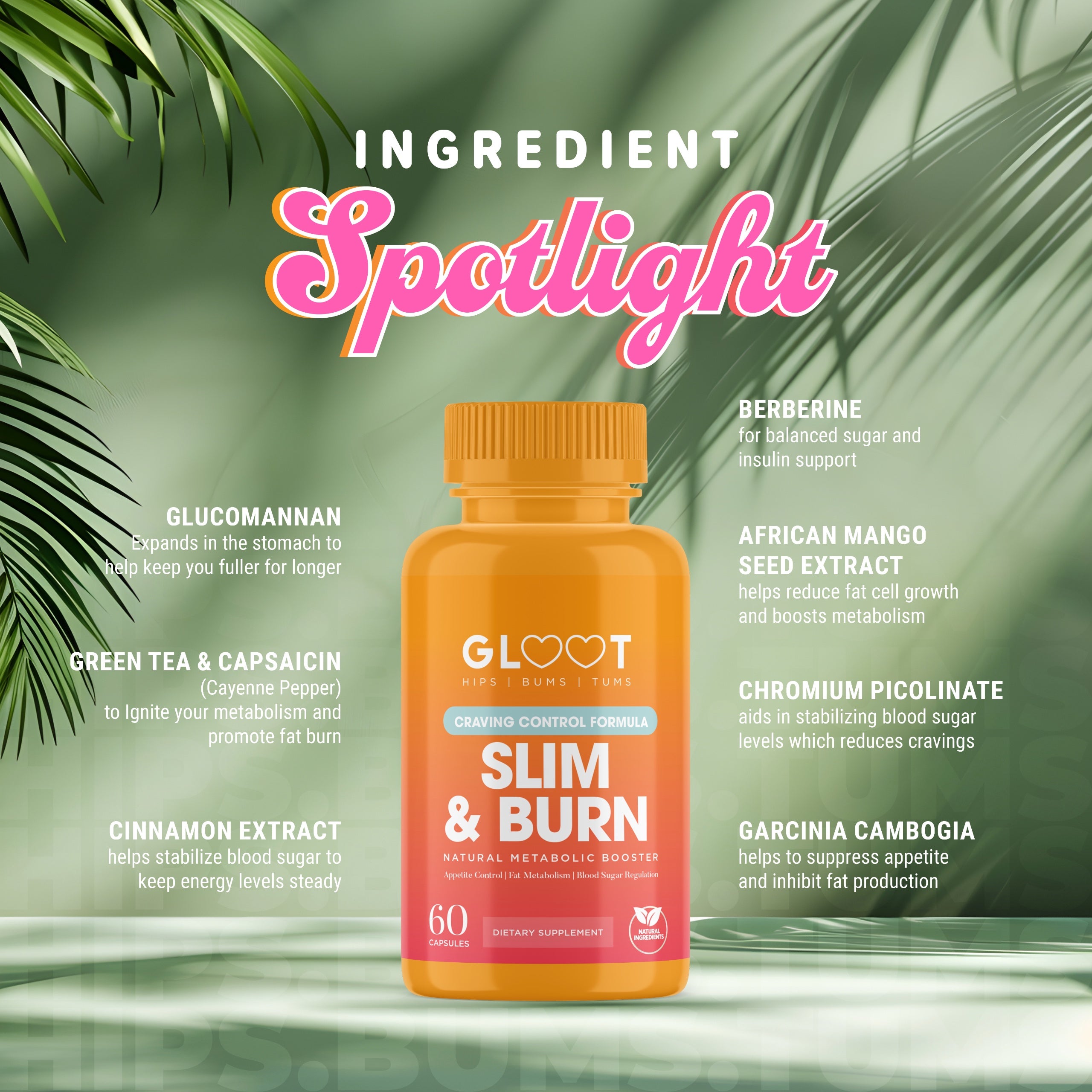 Slim & Burn